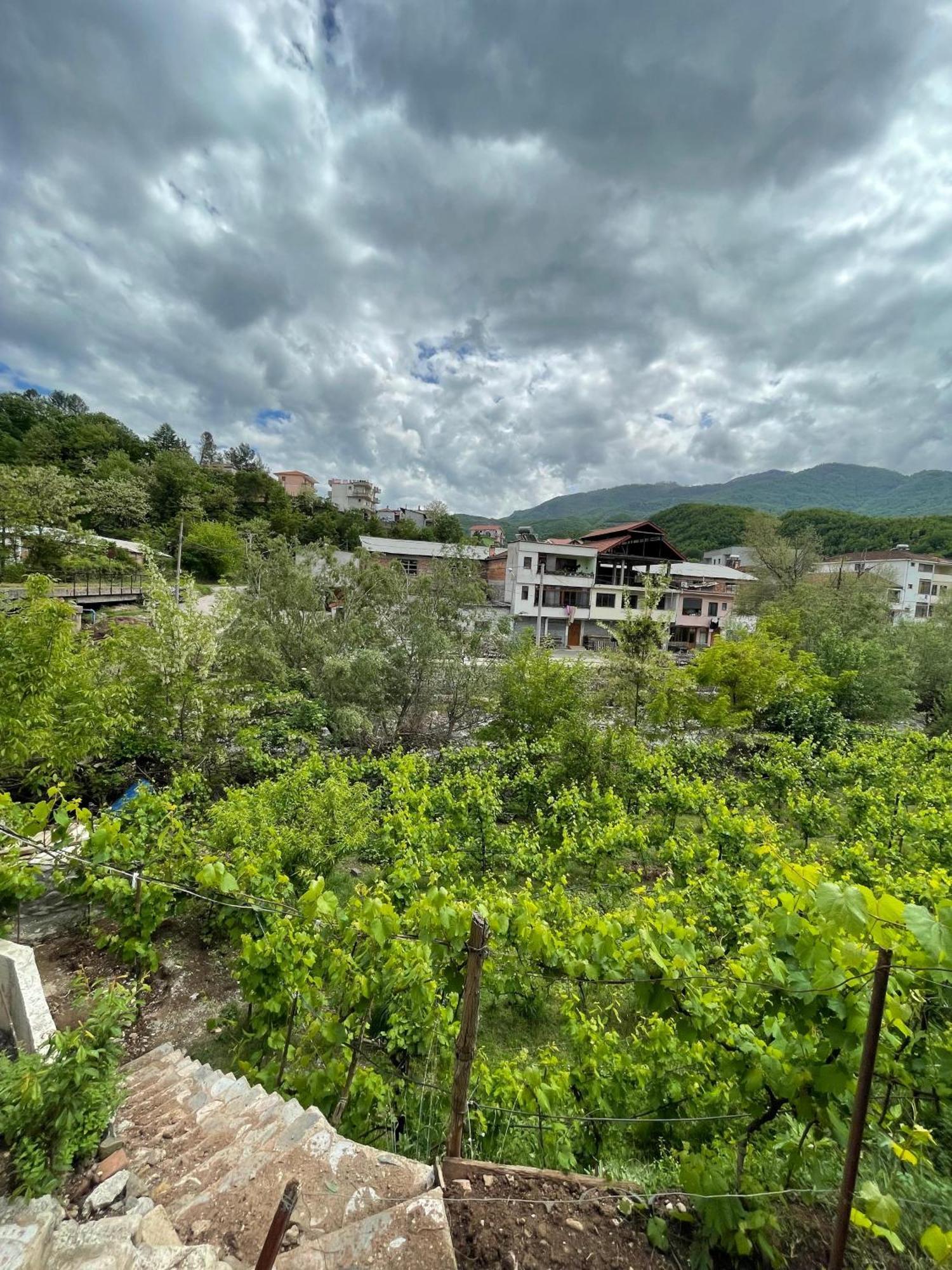 Home 12 Librazhet Εξωτερικό φωτογραφία