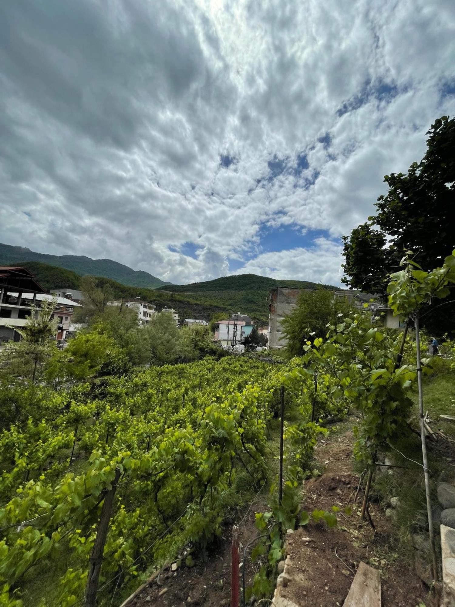 Home 12 Librazhet Εξωτερικό φωτογραφία
