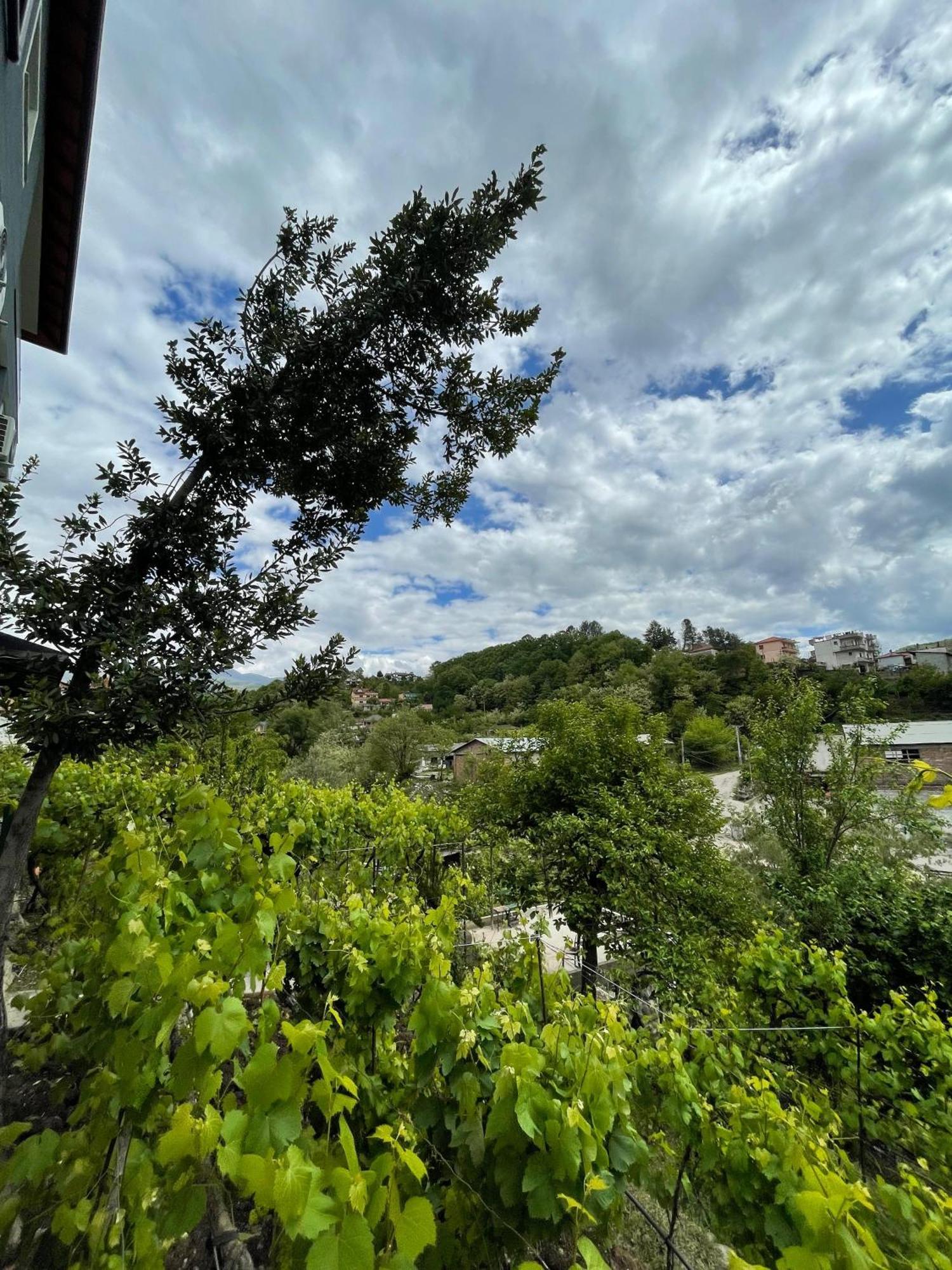 Home 12 Librazhet Εξωτερικό φωτογραφία
