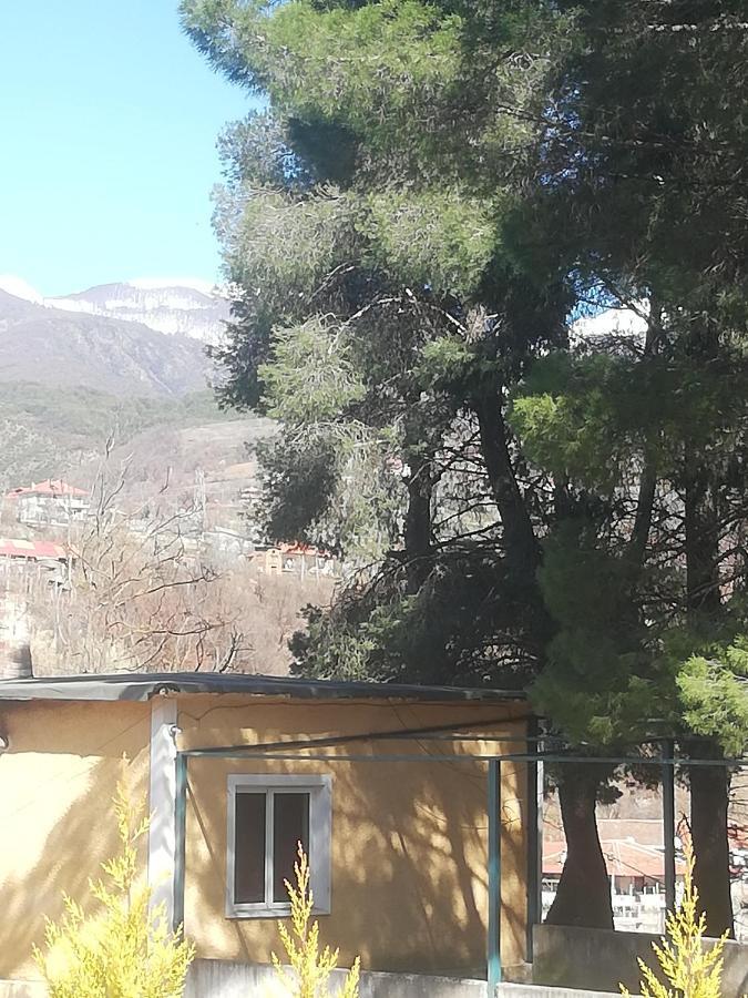 Home 12 Librazhet Εξωτερικό φωτογραφία